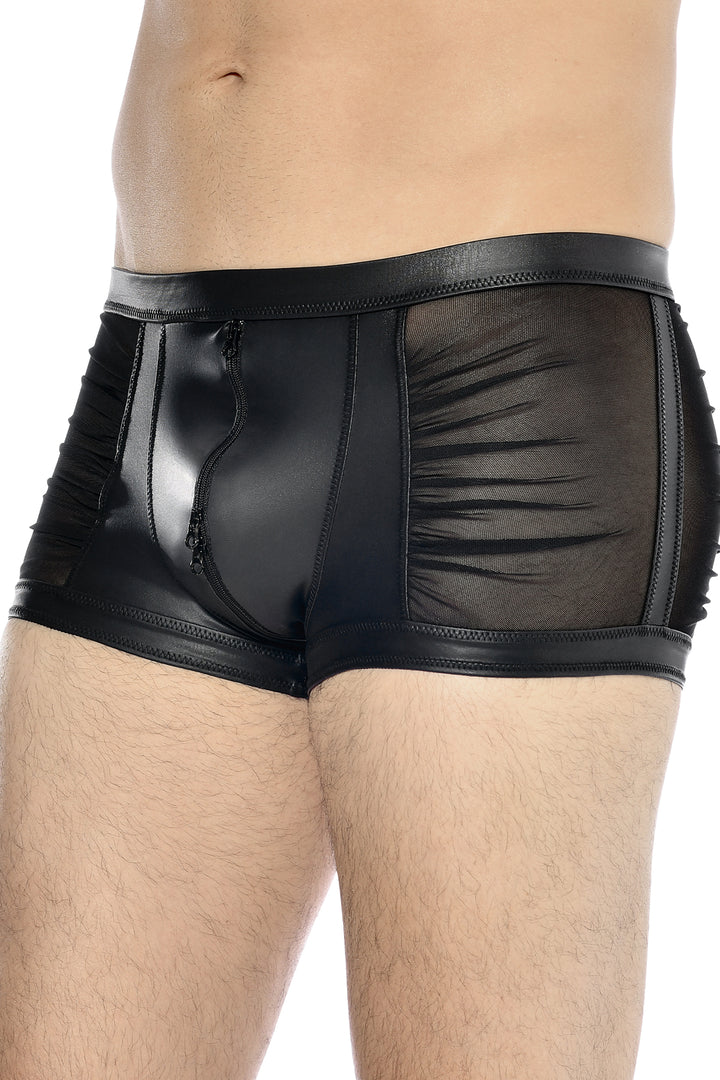 THEON Wetlook Boxers