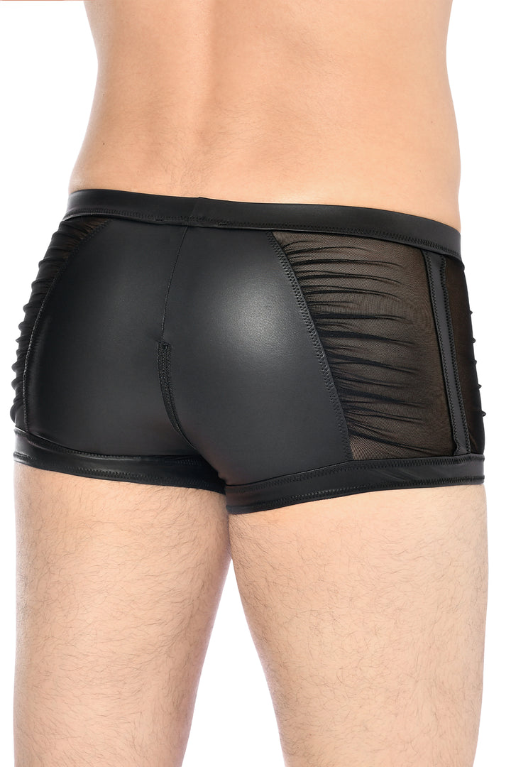 THEON Wetlook Boxers