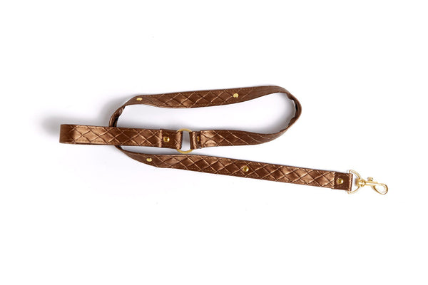 Brand New Louis Vuitton Dog Collar and Leash